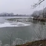 Levendula Nyíregyháza
