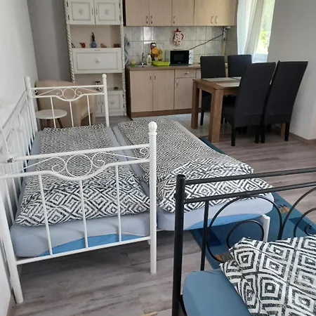 Levendula Nyíregyháza