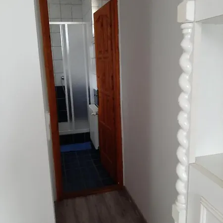 Levendula Nyíregyháza