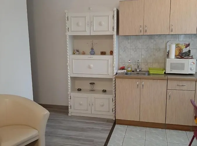 Levendula Nyíregyháza